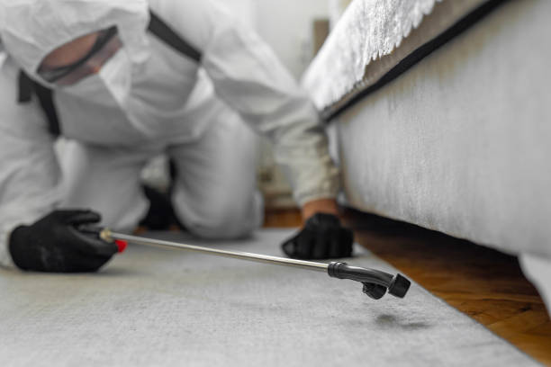 Professional Mosquito Control technician working in Compton, CA