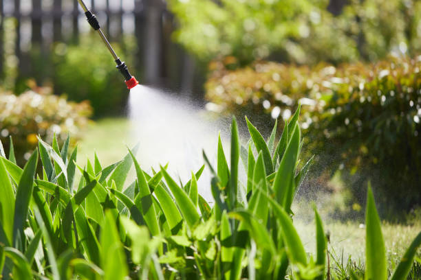 24/7 Emergency Mosquito Control experts in Compton, CA