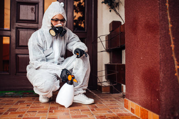 Reliable Mosquito Control contractor in Compton, CA by Nex Pest Control